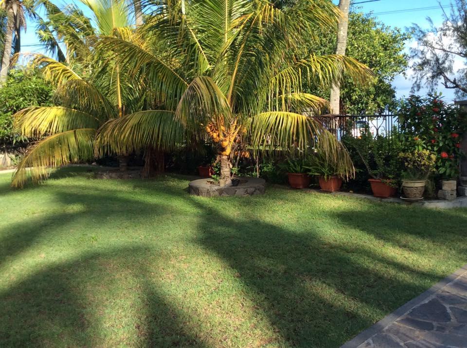 The Beach House Rodrigues Bambou Extérieur photo